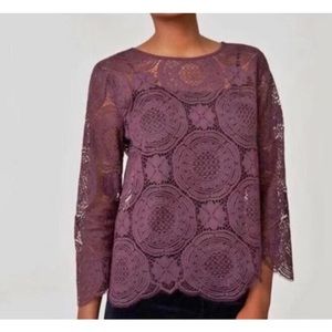 LOFT | Ann Taylor Medallion Lace Blouse Purple Size Small NWT